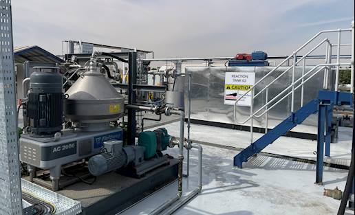 الحمأة الزيتية