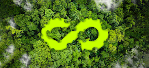 Circular Economies: A Global Imperative