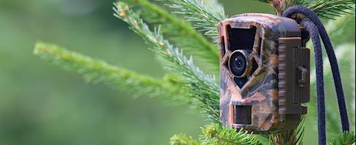 Wildlife Monitoring and Conservation 