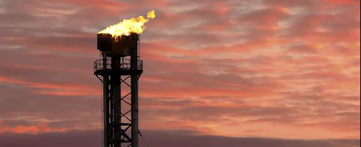 Flare Pits Rehabilitation